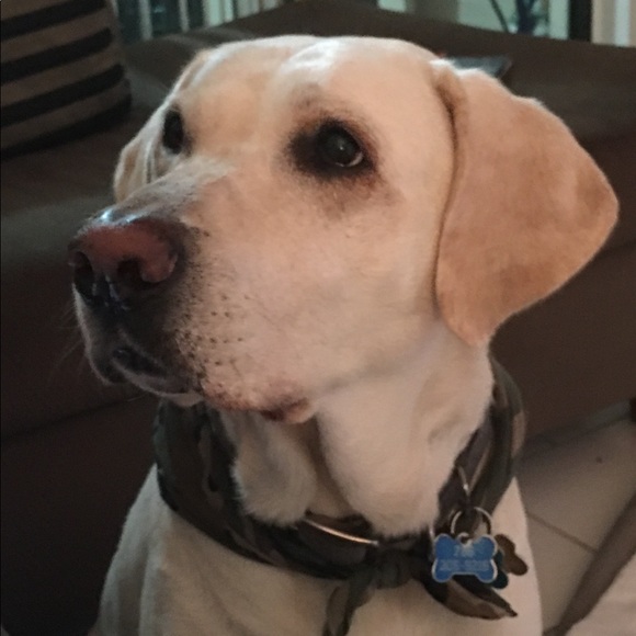 Meet your Posher, Annette Beau - Picture 5 of 16